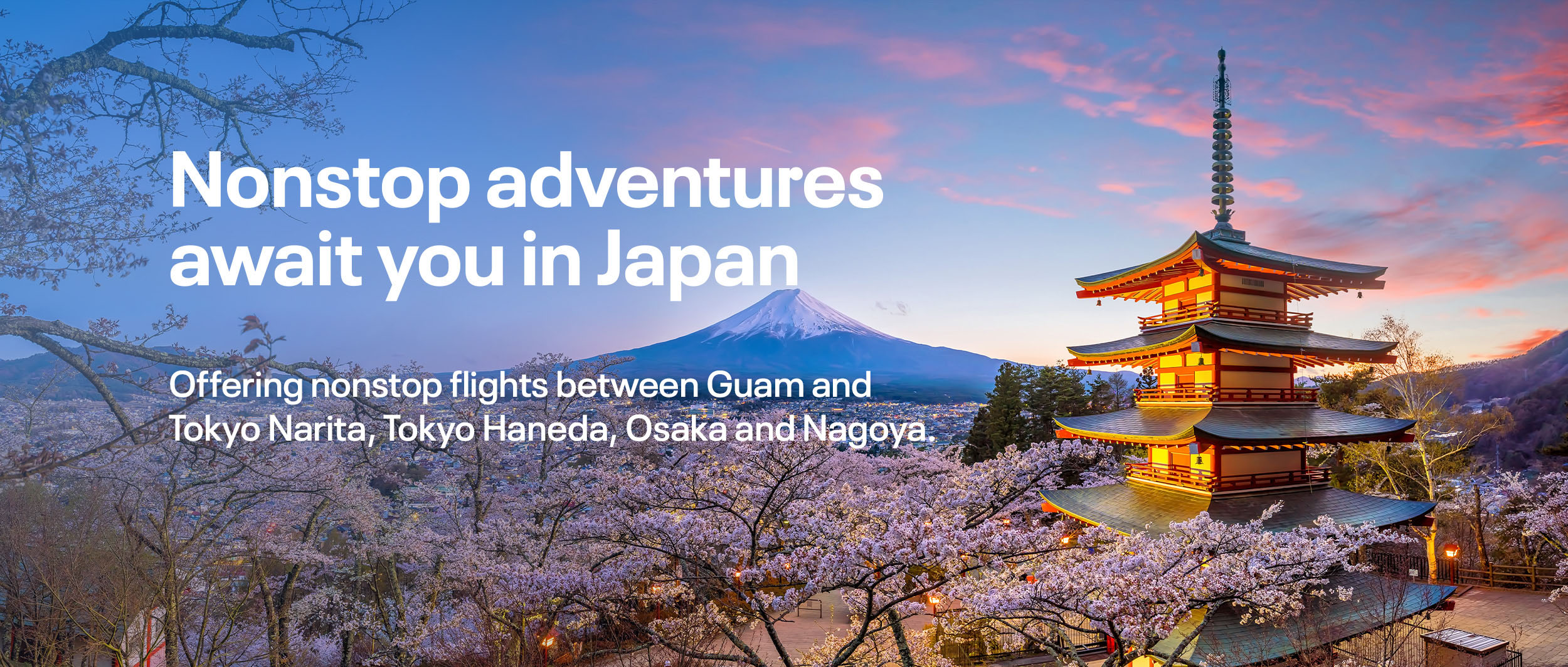 United Airlines Japan